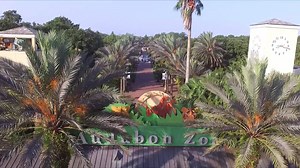 15K views · 379 reactions | The people and animals of Audubon Zoo...