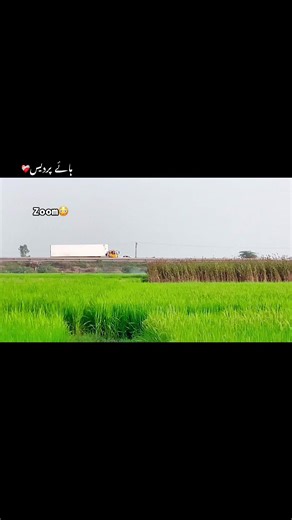 iPhone Zoom Video Tutorial for Stunning Shots