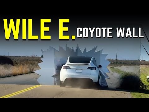 Tesla's Vision-Only System vs. LiDAR: The Ultimate Showdown!