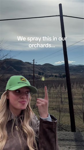 Kait Thornton (@apple.girl.kait) - Using Lime Sulphur for Orchard Health