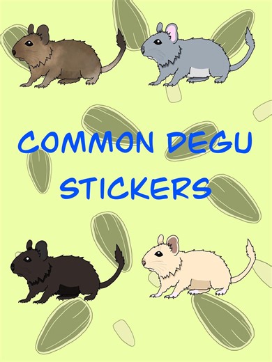 Common Degu Vinyl Weatherproof Sticker/charming Kawaii Pet Laptop Decal/animal Lover Memorial Gift - Etsy Australia