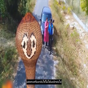 651K views · 8.2K reactions | Review: Naagin Mohabbat Aur Inteqaam Ki Daastan อีกหนึ่งภาพยนต์ที่ดีที่สุดให้แก่ทุกคน กลุ่มหนังของเรา: Thailand Movies Every Day | Osaka Auto Technologies Sdn. Bhd. | Facebook