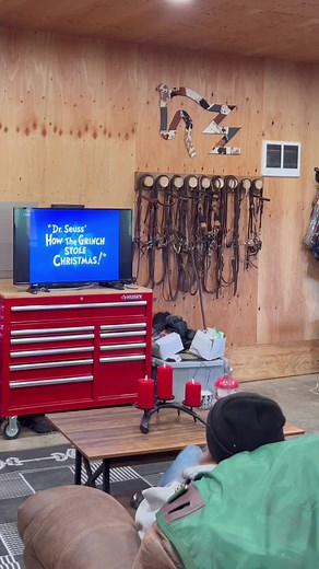 How the Grinch Stole Carrots… 🥕 Zeena is proving to be quite the horse actress in her second short film! I hope Mike Rowe is okay with me using him signing the Grinch song! #horses #horsesofinstagram #horsefarms #funnyhorses #horseriding #christmas2023 | Double Z Farm