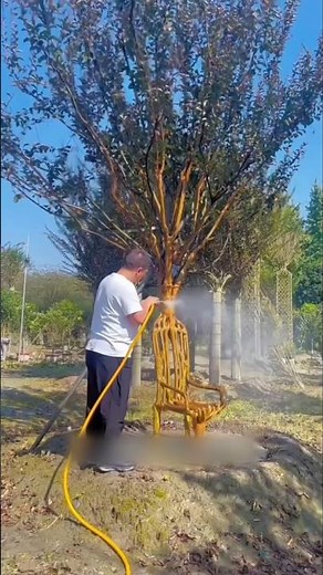 Incredible Tree Shaping Art #shorts