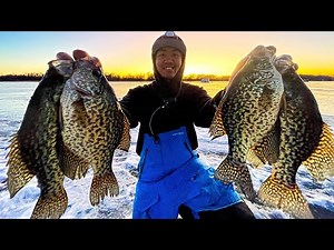 INSANE CRAPPIE BITE! Metro Minnesota ice fishing (Giant school of SLABS!!)