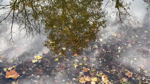 🌤️🍁Happy November 1rst😍 It’s a beautiful day to hike to the Fitz and warm up with some bbq🍗🍺 #November2025 #novembervibes #hike #walking #bikelife #bikeride #Phoenixville #weekend #weekendvibes #weekendmood | Fitzwater Station