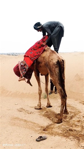 فيديو مذهل في صحراء ثار سيجعل قلبك يخفق بسرعة! 💥🐪