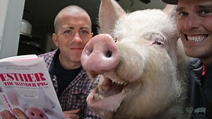 Meet Esther the Wonder Pig
