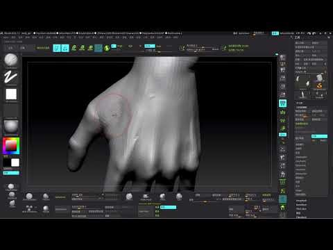 5 ZBrush body Sculpting 5 Hands and Face