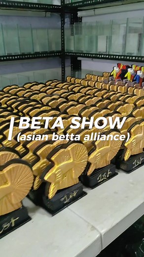 The Untouchables Betta Show by Asian Betta Alliance - Part 1