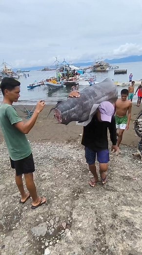 Big Marlin #fish | ArtVenture TV