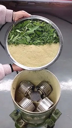 Quality Chicken Pellet Machine for Homemade Feed