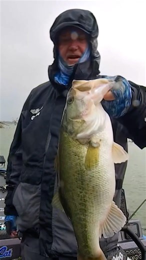 Hall of Famer Mark Davis boats 5-1 early in Knockout Round