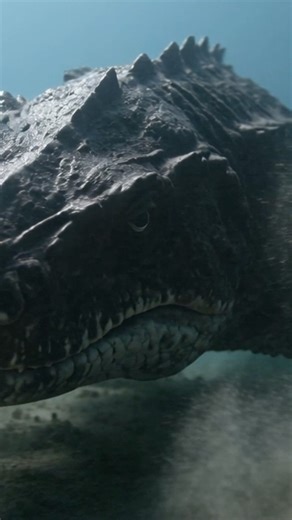 Built for the Ocean #prehistoric #deepsea #documentary #earthhistory #evolution #nature