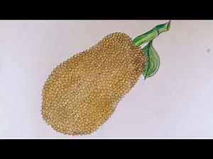 How to draw a Jackfruit step by step so easy