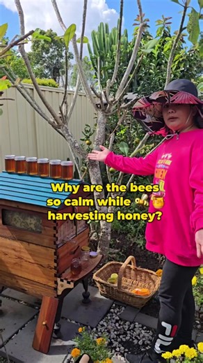 Understanding the Gentle Nature of Bees and Beekeeping