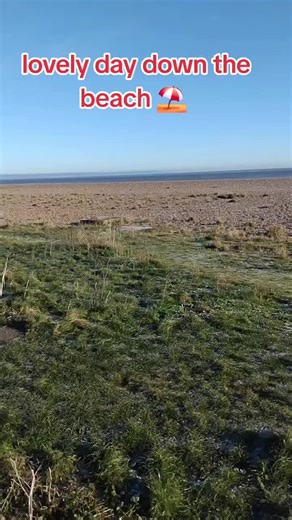Enjoy a Lovely Day at the Beach with Family
