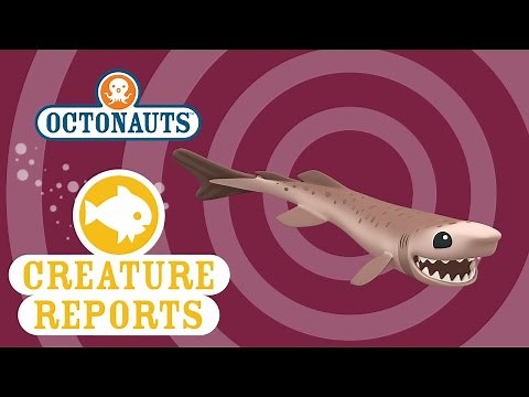 Octonauts: Creature Reports - Cookiecutter Shark