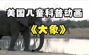 美国儿童科普动画FreeSchool(中文配音版) - 第15集 大象