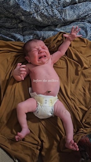 Human Milk Access on Instagram: "Wish drinking milk had this kind of effect on adults. I am still wading deep in the throws of cluster feeds and finding new routines with these babes and this business. It's definitely got me feeling like that first clip. I'm very pleased to share I've been invited to present a short talk at HMI's 2026 Symposium next month 🥳🥳which feels a lot like being invited to present an award at the Grammy's 🤩 and since I'll be breastfeeding at the time, I'll probably be