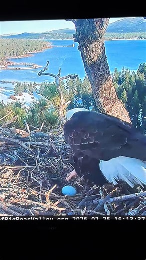 Jackie's Big Decision: Leaving the Nest!