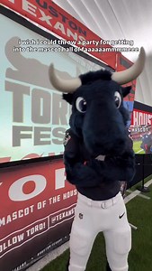 wish granted 🥹 #houston #texans #mascot #funny | TORO