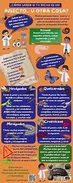 Explicación de infografía