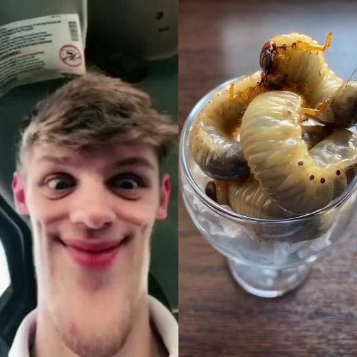 Exploring Colorful Worm Species in Glass Containers