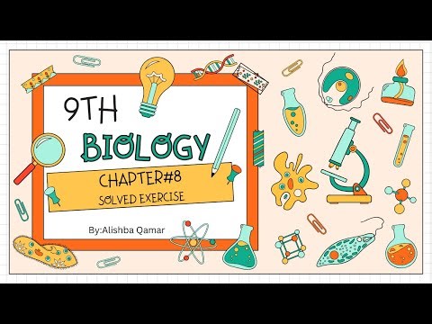 Chapter#8-Bioenergetics Solved Exercise I Short Questions and MCQs I Biology Class 9