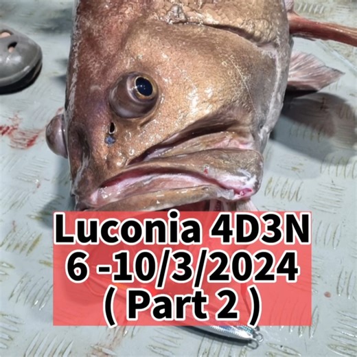 35K views · 751 reactions | LUCONIA 4d3n (PART 2) 主页看完整视频 #jigging #fishing #ladyangler #luconia | Amelia Ting | Facebook