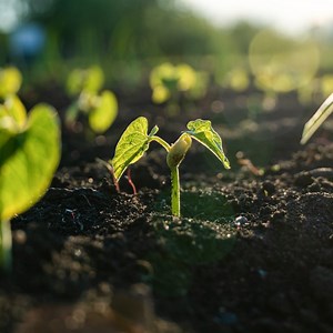 How To Plant Ideas In People's Heads Without Them Knowing It - NLP & Hypnosis Training