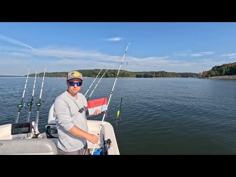 How to use planner boards