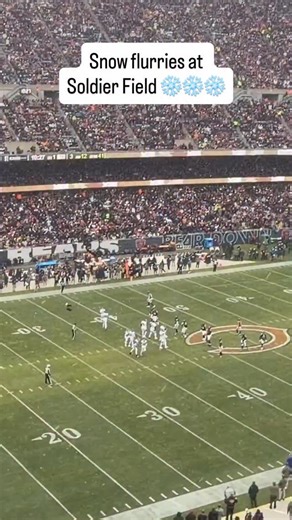 The feels like temp is 21 🥶 (🎥: Bear Report/X) | Sports Illustrated