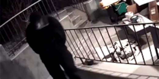 Lincoln Crime Stoppers: Can you identify this person accused of breaking into a school?