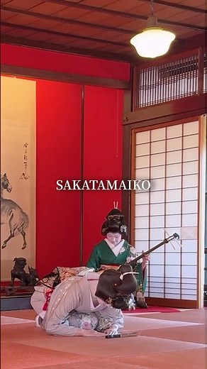 酒田舞妓の優雅な世界を体験してみませんか🪭#酒田舞妓 #舞妓 #日本文化 #伝統舞踊 #酒田 #山形観光 #日本旅行