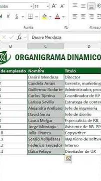 Dynamic organizational chart in Excel 🧠📊