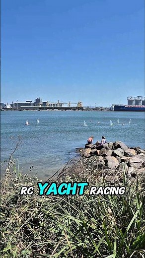 DF 95 Rc Sailing race in Newcastle harbour #rchobby #rcboat #dragonforce #rcsailing #df95 #sailing