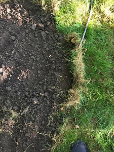 What has been going on with my lawn?