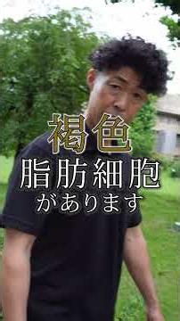 【40代・50代】は肩甲骨で痩せる｜褐色脂肪細胞で脂肪を燃やせ！