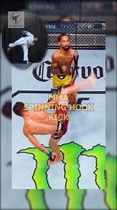 MMA spinning hook kick knockout. #mma #knockout #KnockoutPower #spinninghookkick #mixedmartialarts #muaythaifighter #karate #martialarts #taekwondo #kungfu | Self Defence World