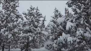A fallen tree left nearly 200 passengers stranded on an Amtrak train in snowy Oregon for three days. CTV’s John Vennavally-Rao reports. Watch the full newscast here: https://bit.ly/2XqooOb | CTV News