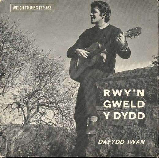 Dafydd Iwan - Rwy'n Gweld Y Dydd