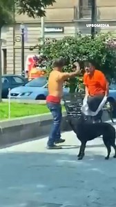 175K views · 1.6K reactions | Si tu es bon avec les chiens, ils te défendront toujours. Ils pourraient donner leurs vies pour notre amitié... | Formidable | Facebook