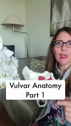 Female Anatomy: Part 1 #femaleanatomy #obgyn #vulvalove #womenshealth #knowyourbody