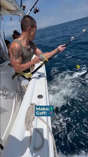 Gaffing the angriest shark in the ocean! 🎣 RockenReel Sportfishing #california #shark #fishing