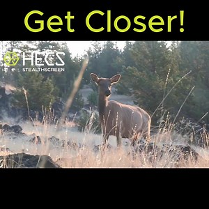 4.3K views · 48 reactions | Are you tired of getting busted before...