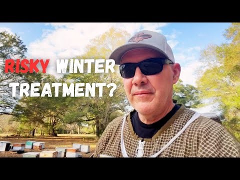 Winter Formic Pro Varroa Mite Treatments - Success or Disaster?
