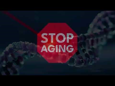 Fund Longevity Trailer