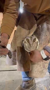 Hoof Trimming: Using a Rasp vs Nippers