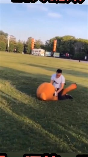 prank teddy bear funny video🐻|| #bear #funny #viral #explore #trending #fun | Naughty Bear